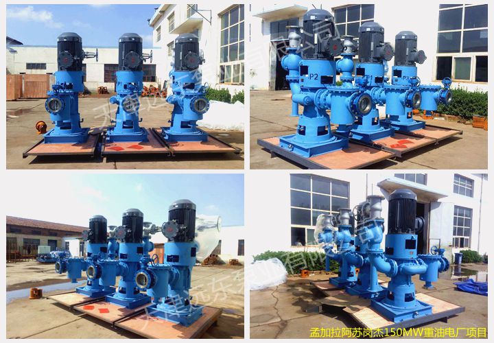 電廠項(xiàng)目雙螺桿泵